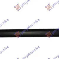 REAR DOOR MOULDING ASSEMBLY (O)