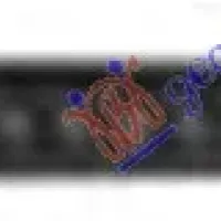REAR BUMPER MOULDING (AMG-LINE)
