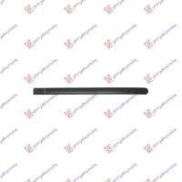REAR DOOR MOULDING -2006