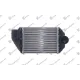 RADIATOR INTERCOOLER 2,5 TDi (215x172x062) RADIATOR INTERCOOLER 2,5 TDi (215x172x062)