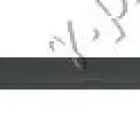 FRONT DOOR SIDE MOULDING